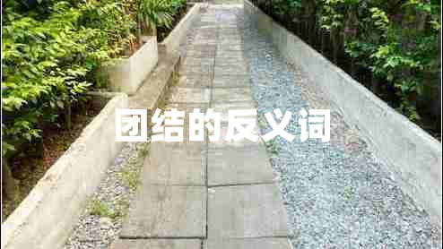 團(tuán)結(jié)的反義詞 團(tuán)結(jié)的反義詞