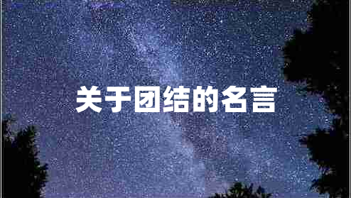關于團結的名言