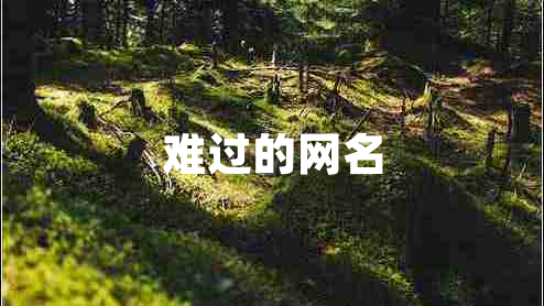 難過的網(wǎng)名