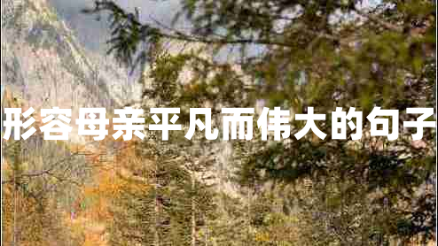 形容母親平凡而偉大的句子