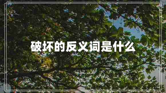 破壞的反義詞是什么 破壞的反義詞是什么