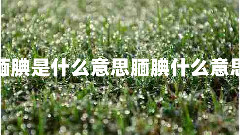 靦腆是什么意思靦腆什么意思