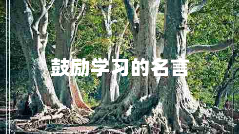 鼓勵學(xué)習(xí)的名言