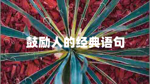 鼓勵人的經典語句