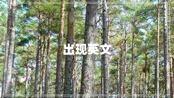出現(xiàn)英文