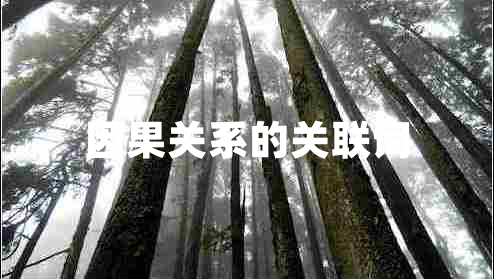 因果關(guān)系的關(guān)聯(lián)詞 因果關(guān)系的關(guān)聯(lián)詞