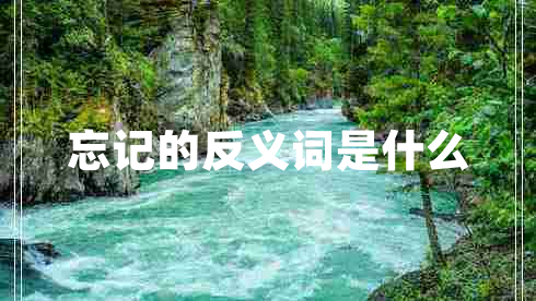 忘記的反義詞是什么 忘記的反義詞是什么
