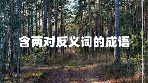 含兩對(duì)反義詞的成語(yǔ) 含兩對(duì)反義詞的成語(yǔ)
