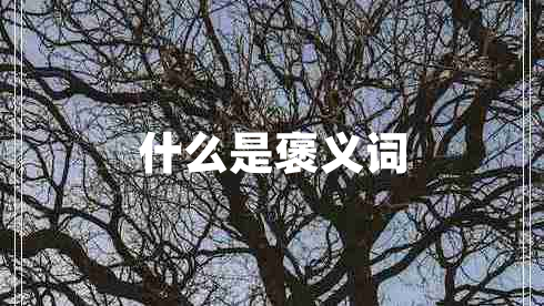 什么是褒義詞 什么是褒義詞