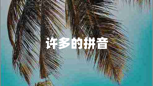 許多的拼音