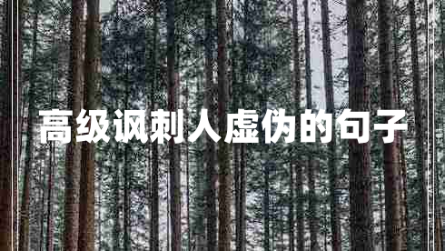 高級諷刺人虛偽的句子