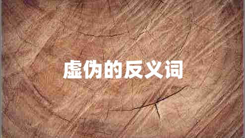 虛偽的反義詞