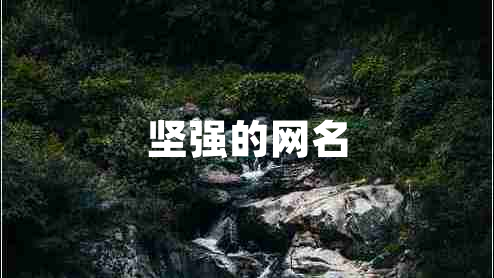 堅強的網(wǎng)名 堅強的網(wǎng)名