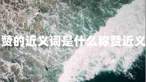 稱贊的近義詞是什么稱贊近義詞