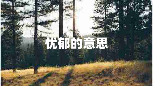 憂(yōu)郁的意思 憂(yōu)郁的意思