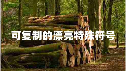 可復(fù)制的漂亮特殊符號(hào)