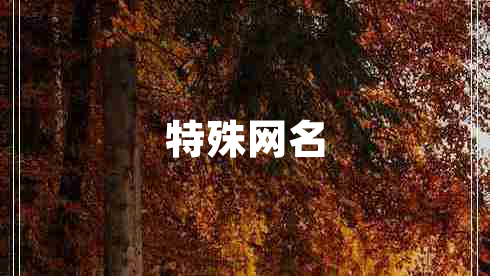 特殊網(wǎng)名