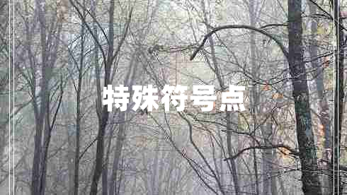 特殊符號(hào)點(diǎn)