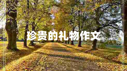 珍貴的禮物作文