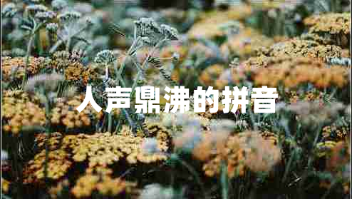 人聲鼎沸的拼音