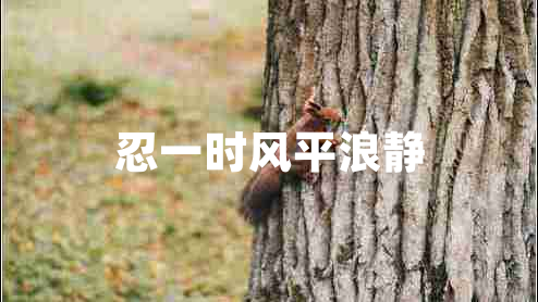 忍一時風(fēng)平浪靜