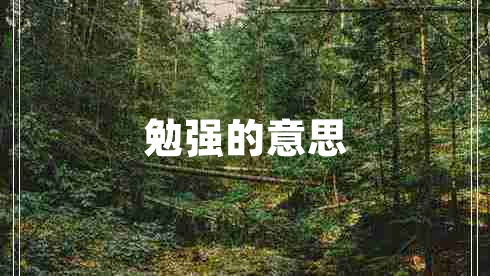 勉強(qiáng)的意思