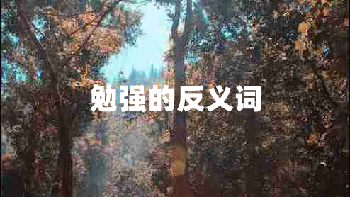 勉強(qiáng)的反義詞 勉強(qiáng)的反義詞