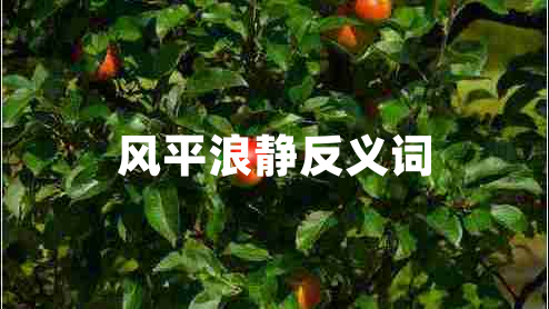 風平浪靜反義詞