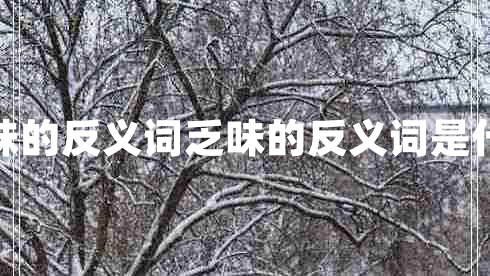 乏味的反義詞乏味的反義詞是什么