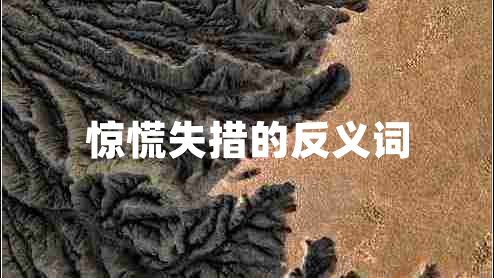 驚慌失措的反義詞