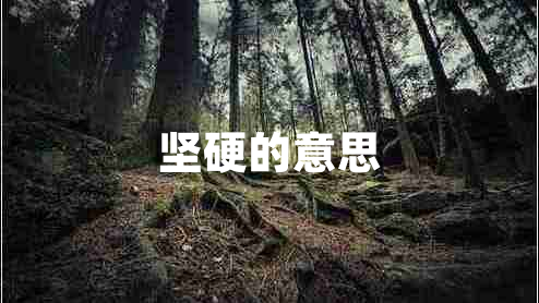 堅(jiān)硬的意思