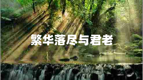 繁華落盡與君老