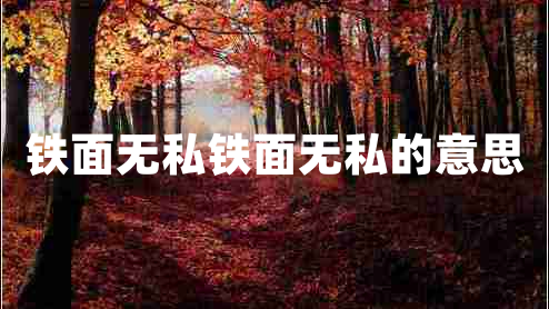 鐵面無(wú)私鐵面無(wú)私的意思