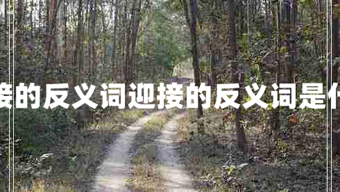 迎接的反義詞迎接的反義詞是什么 迎接的反義詞迎接的反義詞是什么