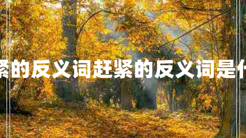 趕緊的反義詞趕緊的反義詞是什么 趕緊的反義詞趕緊的反義詞是什么