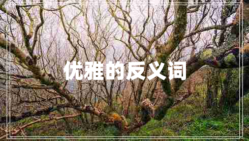 優(yōu)雅的反義詞