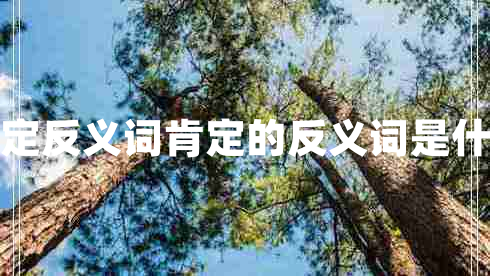 肯定反義詞肯定的反義詞是什么