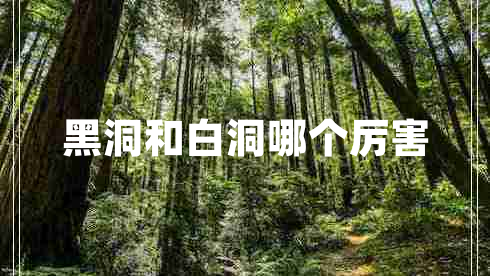 黑洞和白洞哪個厲害 黑洞和白洞哪個厲害