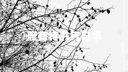 腹有詩(shī)書氣自華