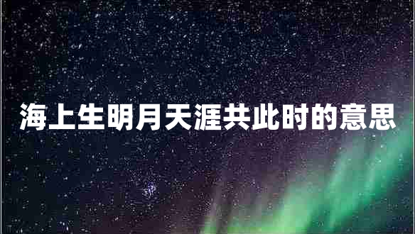 海上生明月天涯共此時的意思