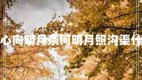 我本將心向明月奈何明月照溝渠什么意思