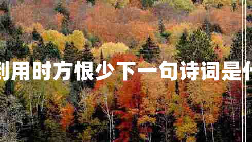 書到用時方恨少下一句詩詞是什么