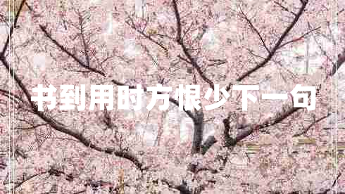 書到用時方恨少下一句