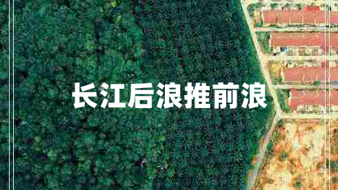 長江后浪推前浪