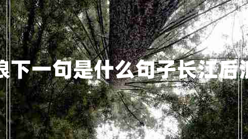 長江后浪推前浪下一句是什么句子長江后浪推前浪下一句