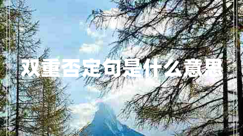 雙重否定句是什么意思