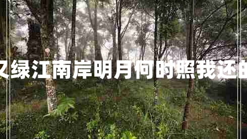 春風(fēng)又綠江南岸明月何時(shí)照我還的意思 春風(fēng)又綠江南岸明月何時(shí)照我還的意思