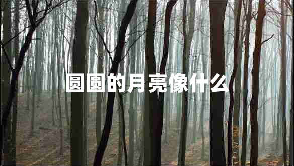 圓圓的月亮像什么