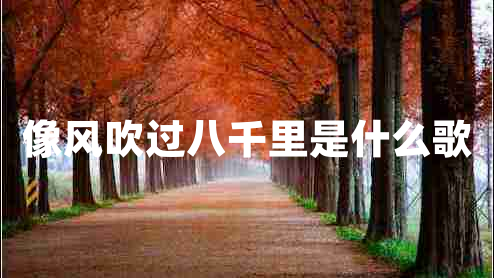 像風吹過八千里是什么歌