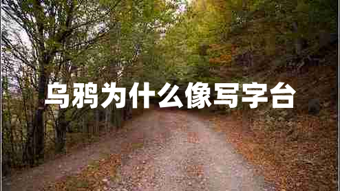 烏鴉為什么像寫字臺